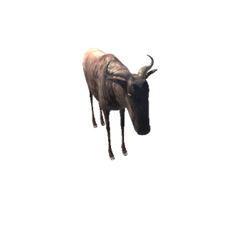 WildebeestModelNoFurMiddlePoly