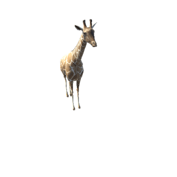 GiraffeModelLowPoly