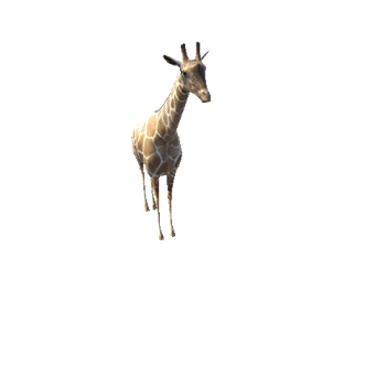 GiraffeModelMiddlePoly