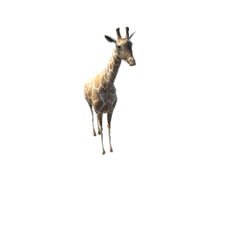 GiraffeModelNoFurLowPoly