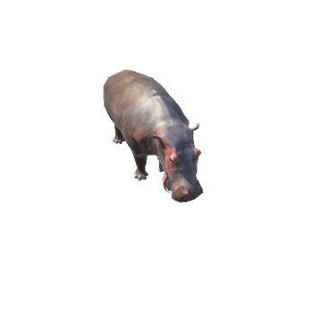 HippopotamusLowPoly