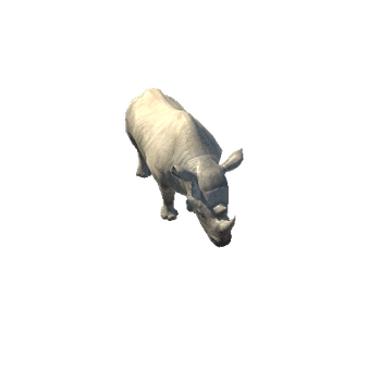 RhinoModelLowPoly