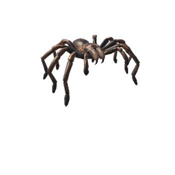 RoseTarantulaNoFur