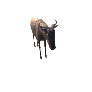 WildebeestModelNoFurLowPoly