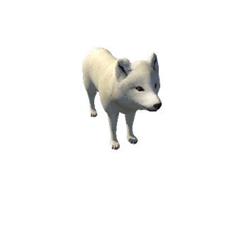 Arcticfox