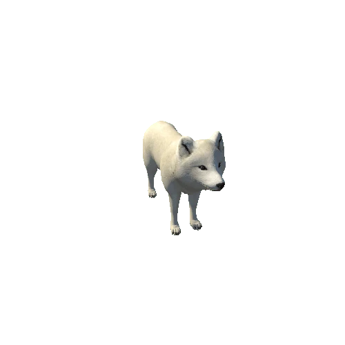 Arcticfox