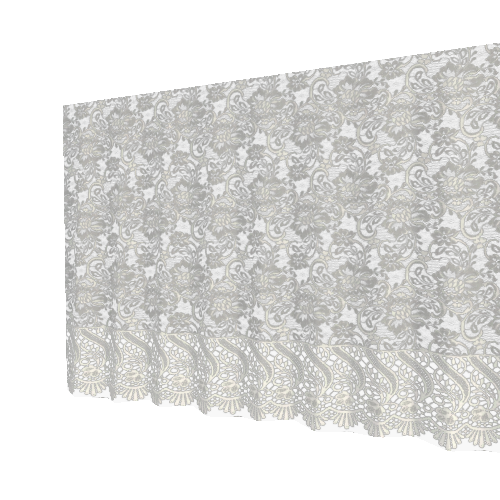 Lace_Curtain_01