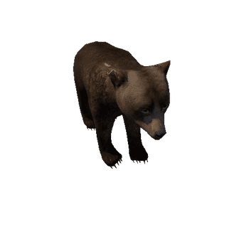 Bear_cub_LowPoly_IP