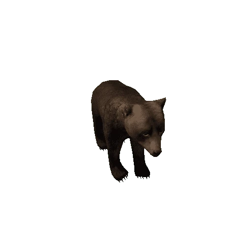 Bear_cub_LowPoly_IP