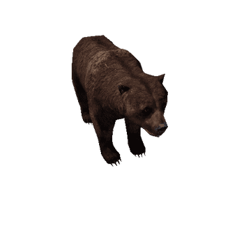 Bear_female_LowPoly_C2