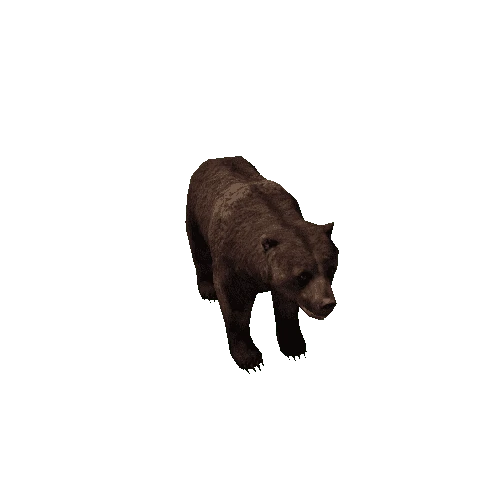 Bear_female_LowPoly_C2