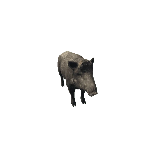 Boar_Female_Highpoly_RM