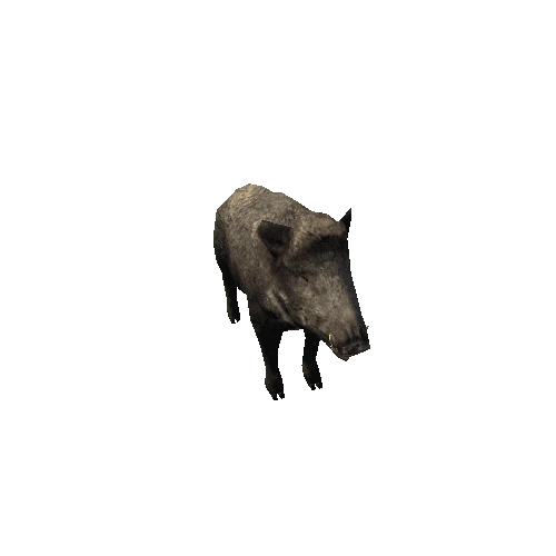 Boar_Female_Mobile_IP