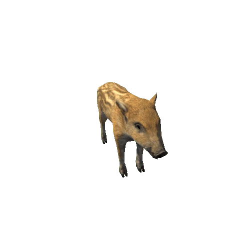 Boar_cub_Lowpoly_IP