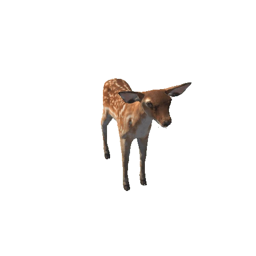 Deer_calf_HighPoly_RM