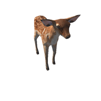 Deer_calf_IP