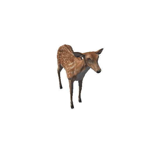 Deer_doe_HighPoly_IP