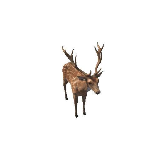 Deer_stag_HighPoly_RM