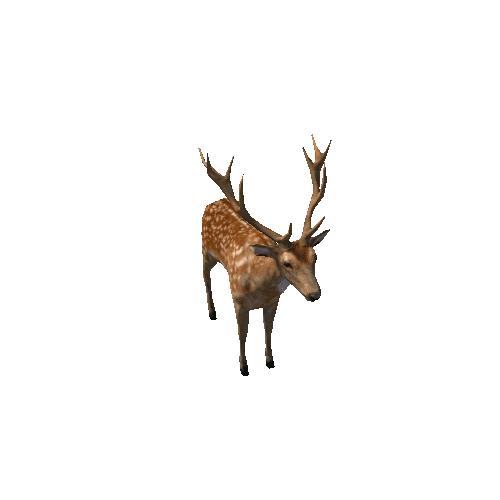 Deer_stag_LowPoly_IP