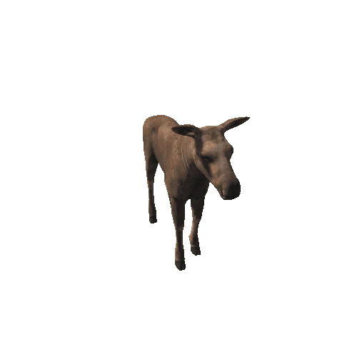 Moose_calf_HighPoly_RM_IP