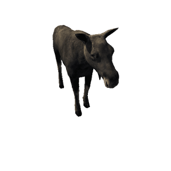 Moose_cow_LowPoly_IP