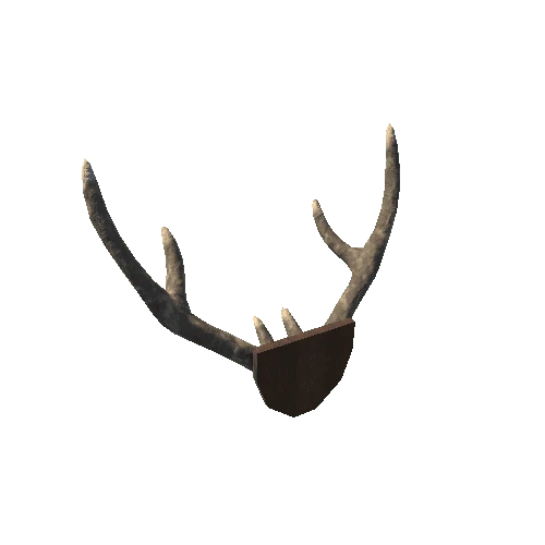 Wast_Antlers