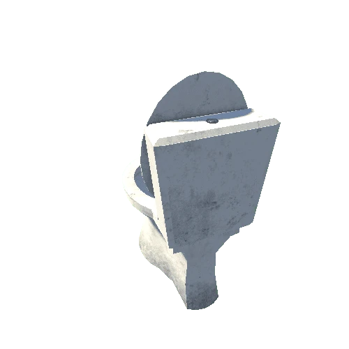 Wast_Toilet