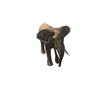 ElephantLowPoly