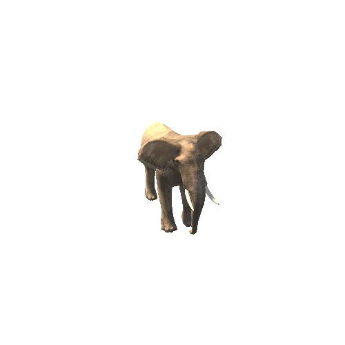 ElephantLowPoly