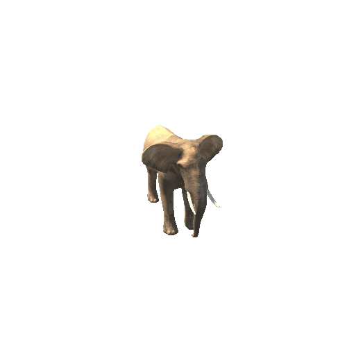 ElephantMiddlePoly