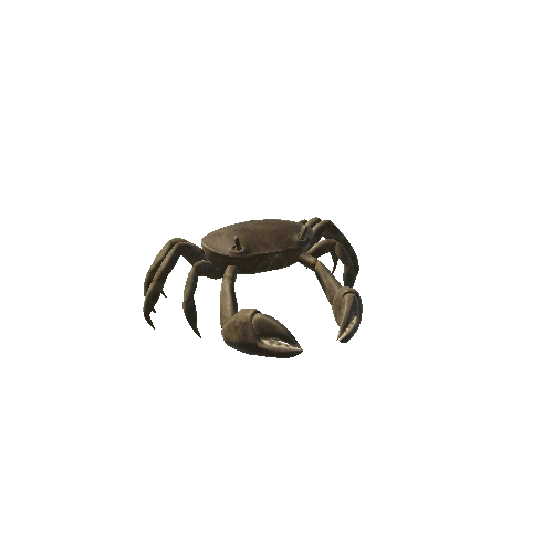 Crab02
