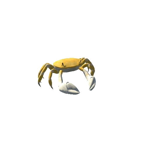 Crab03