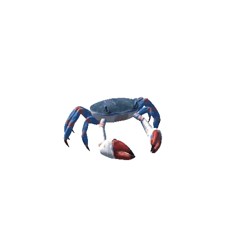 Crab04