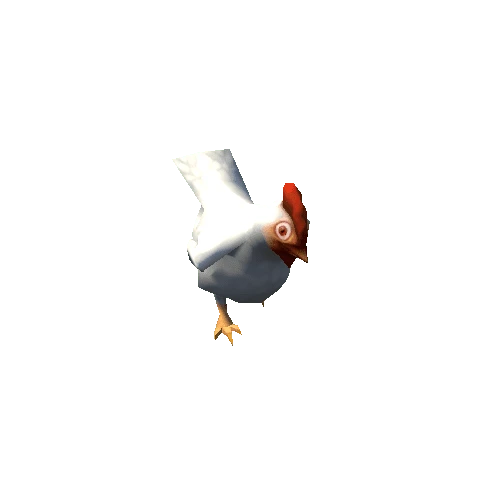 chicken_02