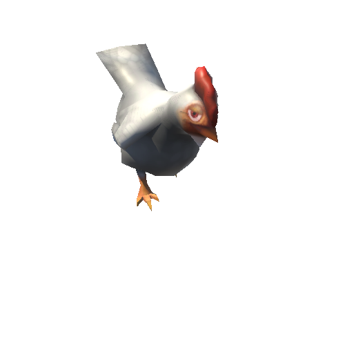 chicken_04