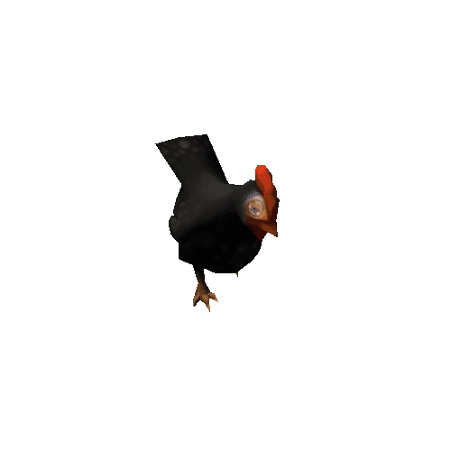 chicken_05