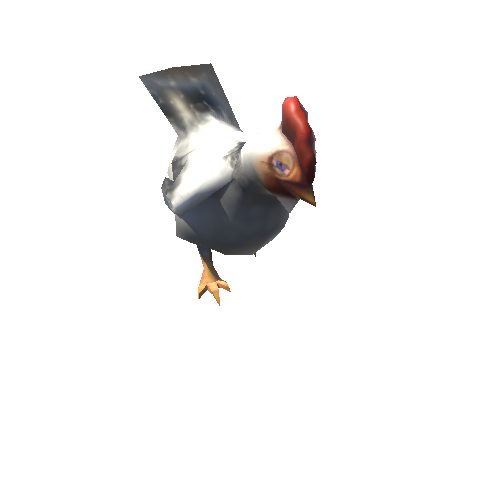 chicken_06