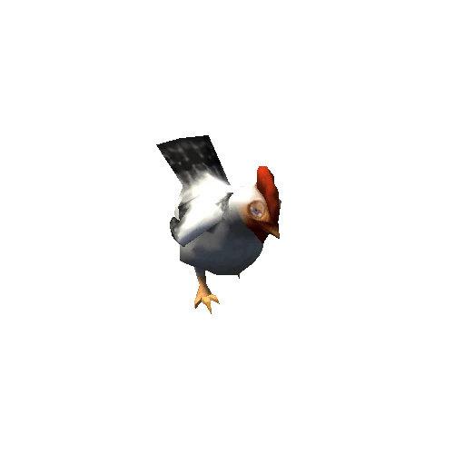 chicken_06