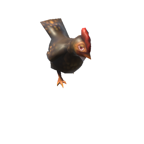 chicken_08