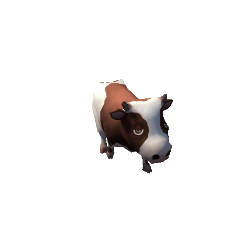 cow_02