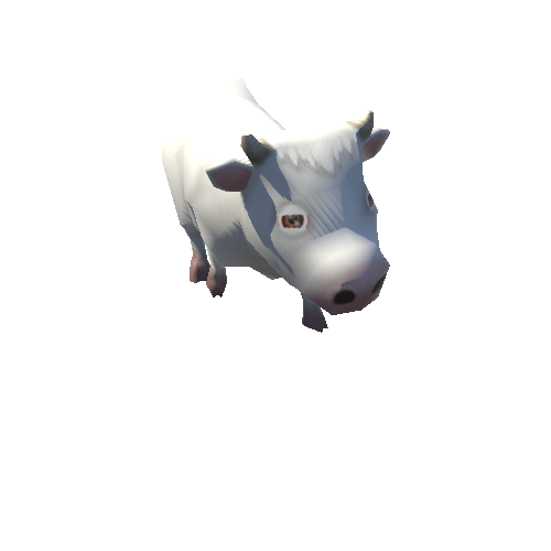 cow_05