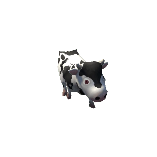 cow_06