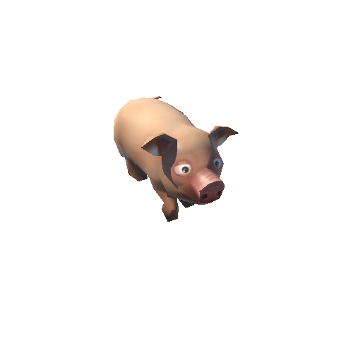 pig_02