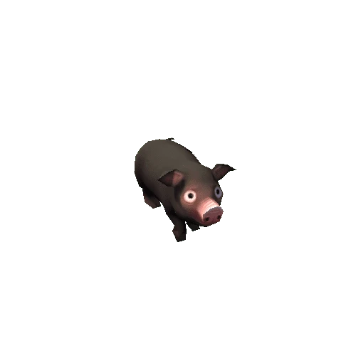 pig_03