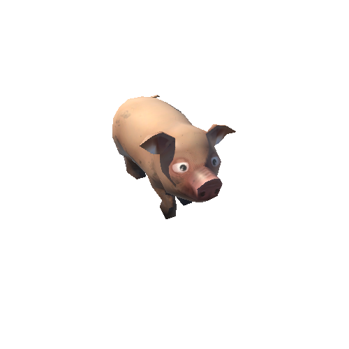 pig_05