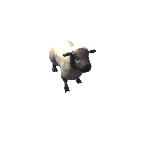 sheep_01