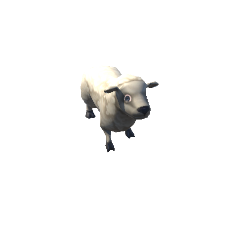 sheep_02