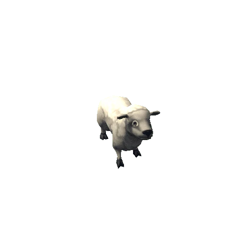 sheep_02
