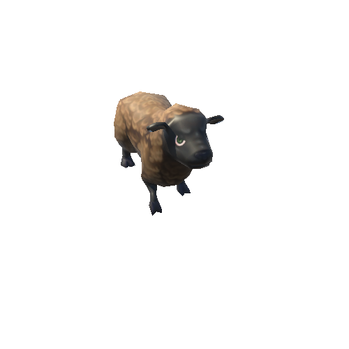 sheep_05