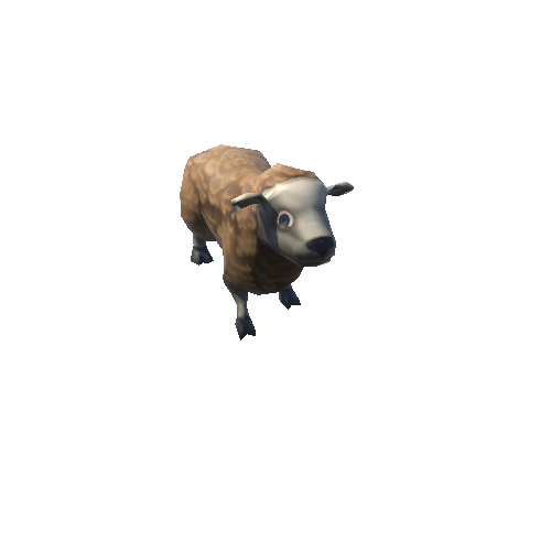 sheep_06